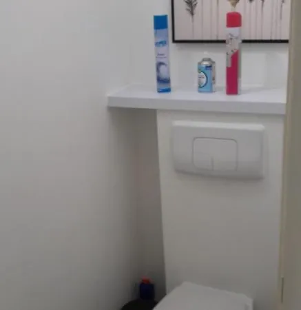 2 Ch 40 M2 Au Pied Des Pistes De Ski 公寓